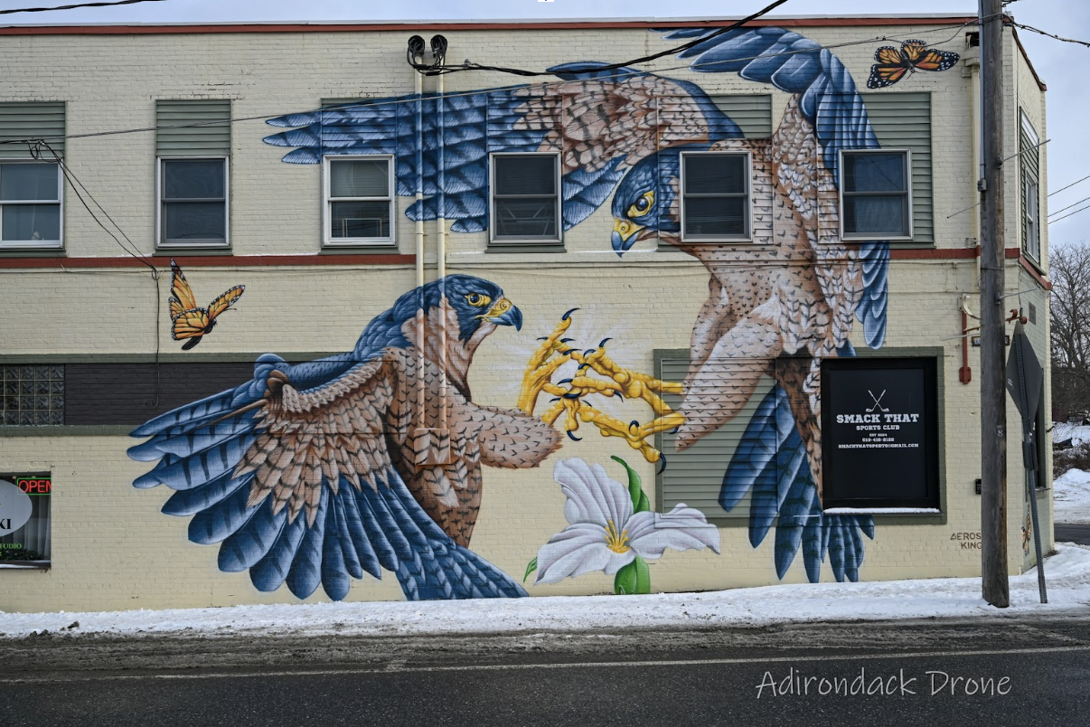 mural of two birds